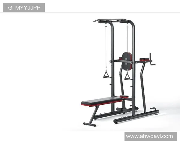 全面解析常见体育器材及其功能与选择指南